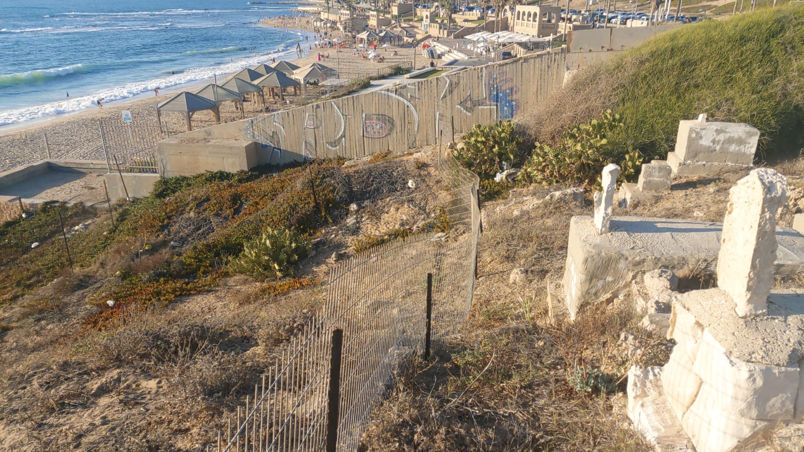 WhatsApp Image 2020-08-17 at 7.30.16 PM.jpeg.jpeg